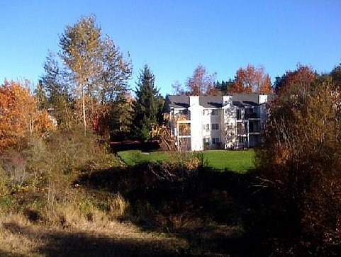 Property Photo 30329 - Landscape in the fall